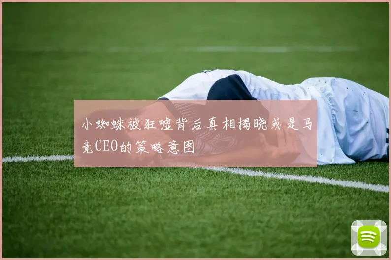 小蜘蛛被狂嘘背后真相揭晓或是马竞CEO的策略意图