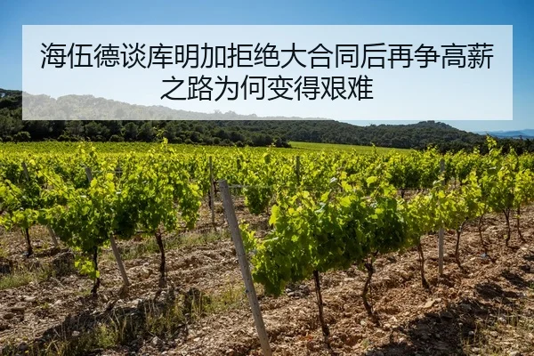 海伍德谈库明加拒绝大合同后再争高薪之路为何变得艰难