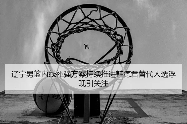 辽宁男篮内线补强方案持续推进韩德君替代人选浮现引关注